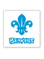 2015_Beavers