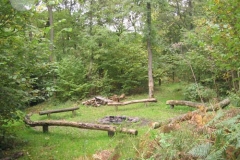 Campfire circle