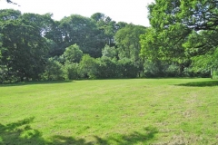 Main camping field