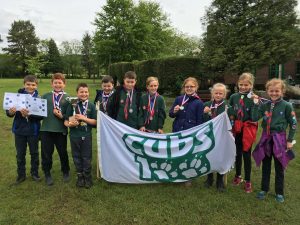 County Cub Challenge