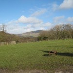 "Parlick from Waddecar"